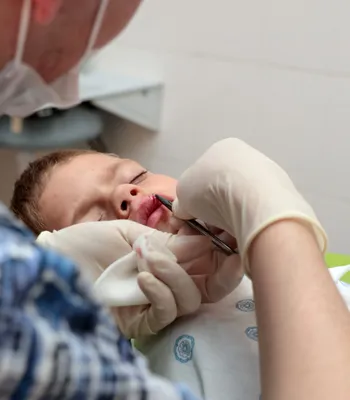 В Саратове за два дня бродячие собаки покусали четырех детей | Новости  Саратова и области — Информационное агентство \"Взгляд-инфо\"