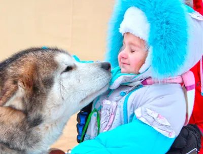 Все что нужно знать о дружбе собак и детей