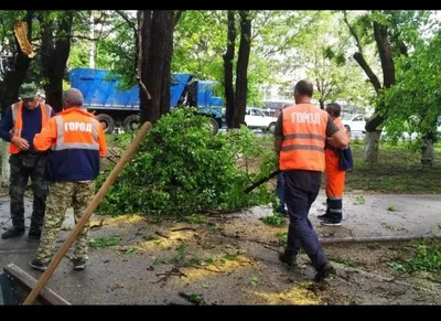 Прокуратура подала в суд на власти Симферополя из-за деревьев в парке - РИА  Новости Крым, 22.11.2021