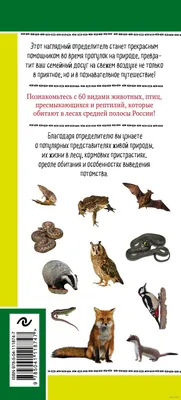 Красноярский зоопарк «Роев ручей» призывает не трогать детёнышей диких  животных и птиц | Глагол. Иркутское обозрение