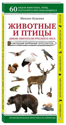 Диких животных и птиц Новосибирской области посчитают