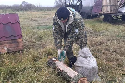 Ультразвуковой отпугиватель животных G-LUCK (собак, кошек, домашнего скота, диких  животных, грызунов, змей, птиц) репеллент на солнечной батарее - купить с  доставкой по выгодным ценам в интернет-магазине OZON (263210981)