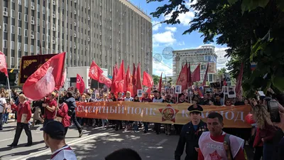 В Краснодаре транспаранты «Бессмертного полка» загородили портреты солдат |  ИА Красная Весна