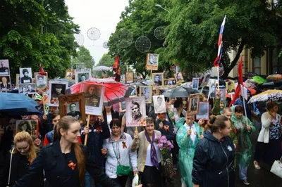 В Краснодаре проходит акция «Бессмертный полк». 09.05.2022 г. Телеканал « Краснодар»