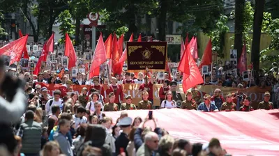 Шествие «Бессмертного полка» в Краснодаре можно будет увидеть по ТВ в  прямом эфире - PrimaMedia.ru