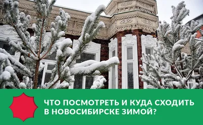 Достопримечательности Новосибирска, или путешествие булок::) | Пикабу