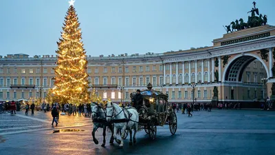 Дворцовая площадь в Санкт-Петербурге