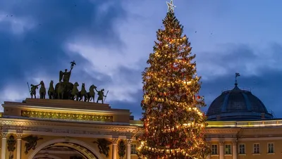 В Петербурге неизвестный попытался оседлать лошадь, запряженную в карету -  РИА Новости, 03.01.2023