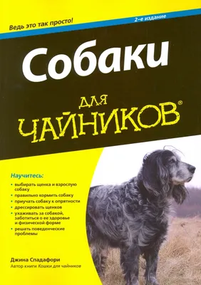 Джина - Doggy Help