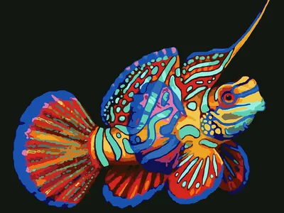 Красивые экзотические рыбы в аквариуме :: Стоковая фотография :: Pixel-Shot  Studio