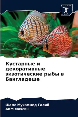 Выставка экзотических рыб (Аквагалерея) - Закрыта, Екатеринбург. Карта,  фото, как добраться – путеводитель по городу на EkMap.ru