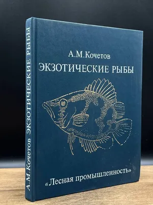 Купить картина по номерам Красиво Красим Экзотическая рыба Мандаринка, 50 х  80 см, цены на Мегамаркет | Артикул: 600004319428