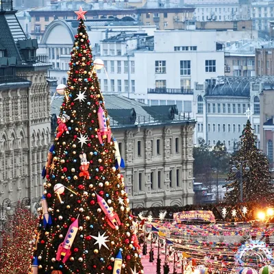 Фото елки в москве фотографии