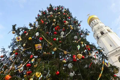 На выставке «Россия» в Москве зажглась новогодняя елка Волгоградской области