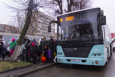 Кража игрушек с уличной елки в Москве возмутила россиян - Мослента