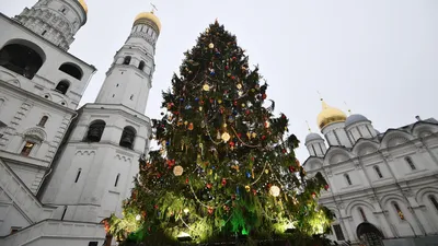 Новогодние Елки На Красной Площади В Москве Празднование Нового Года В  России — стоковые фотографии и другие картинки Интерьер помещений - iStock