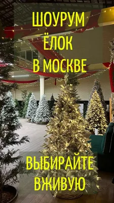 Новогодние елки 2023 в Москве: как развлекать детей все праздники — читать  на Gastronom.ru