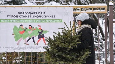 В Москве откроют экспозицию «Елки России». Оренбургскую уже установили |  30.11.2023 | Новости Оренбурга - БезФормата