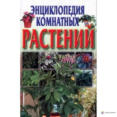 Новейшая энциклопедия комнатных растений — купить в Красноярске. Состояние:  Новое. Энциклопедии на интернет-аукционе Au.ru