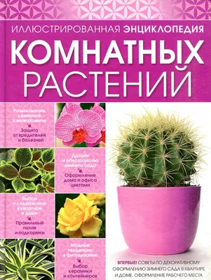 Книга Харвест Самая полная энциклопедия комнатных растений купить по цене  2034 ₽ в интернет-магазине Детский мир