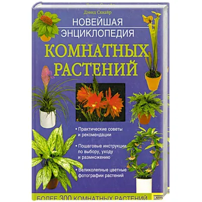 Иллюстрированная энциклопедия комнатных растений – Васнецова | Дракопанда  5-224-02129-4