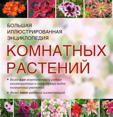 Иллюстрированная энциклопедия комнатных растений