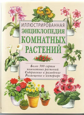 Энциклопедия комнатных растений — купить в Красноярске. Состояние: Б/у.  Энциклопедии на интернет-аукционе Au.ru