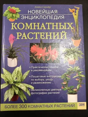 Книга \"Энциклопедия комнатных растений\" Степура А В - купить книгу в  интернет-магазине «Москва» ISBN: 978-5-366-00489-3, 484639