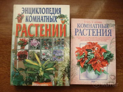 Энциклопедия комнатных растений - Издательство Альфа-книга