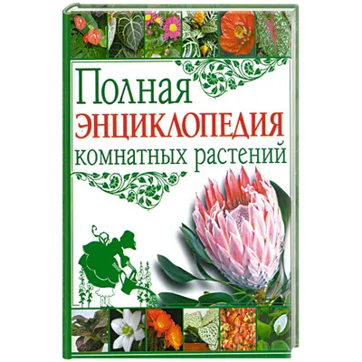 Большая энциклопедия комнатных растения, иллюстрированная. качественные  фотографии. — цена 400 грн в каталоге Энциклопедии ✓ Купить товары для  спорта по доступной цене на Шафе | Украина #81897900