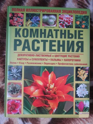 Полная энциклопедия комнатных растений Чуб Лезина 2002 414 стр купить в  Твери цена 350 Р на DIRECTLOT.RU - Художественная литература и НаучПоп  продам