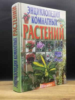 Энциклопедия комнатных растений — купить книги на русском языке в BooksMe в  Испании