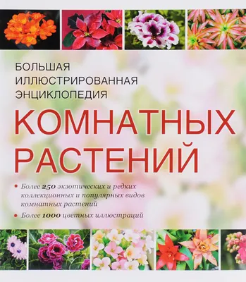 Полная энциклопедия комнатных растений — купить книги на русском языке в  DomKnigi в Европе