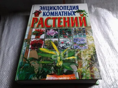 Энциклопедия комнатных растений