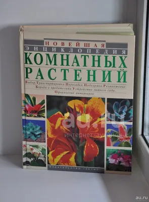 Энциклопедия комнатных растений Харвест 163526634 купить в  интернет-магазине Wildberries