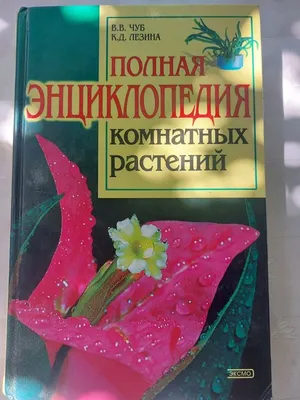 Чуб В.В., Лезина К.Д. Полная энциклопедия комнатных растений купить на |  Аукціон для колекціонерів UNC.UA UNC.UA