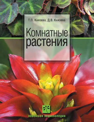 Большая энциклопедия комнатных растений + Комнатные растения. Купить в  Минске — Книги Ay.by. Лот 5033847328