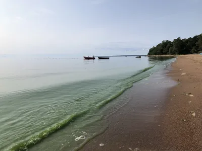 Прогулки по Финскому заливу