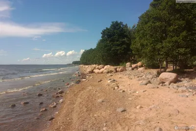 Финский залив, Санкт-Петербург: ледовая обстановка, рыбалка, карта глубин,  пляжи, базы отдыха, как добраться