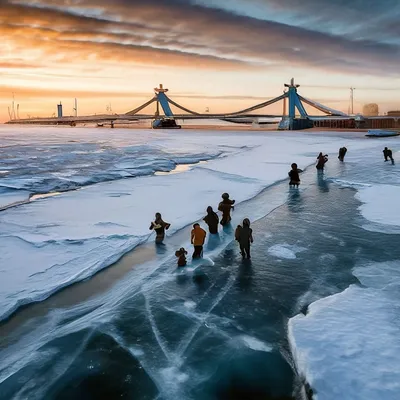 Зелёная вода на Финском заливе в Петербурге 22 июля 2022 г. - 22 июля 2022  - Фонтанка.Ру