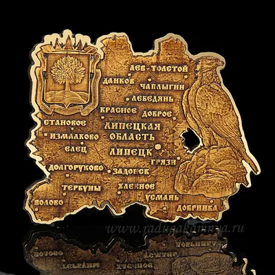 Иллюстрация 1 из 2 для Карта: Липецк. Липецкая область | Лабиринт - книги.  Источник: vakuol
