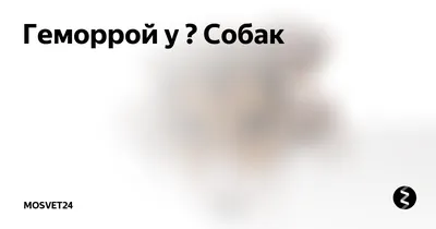 Геморрой у собак: лечение в домашних условиях, бывает ли у щенков и  взрослых питомцев, как лечить и что делать, симптомы и как выглядит,  лекарства