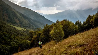 Весна в горах Кавказа — Фото №1437035