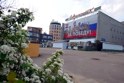 Жизнь в Иванове | Международная служба сопровождения иностранных граждан и  образовательных программ | ИГХТУ