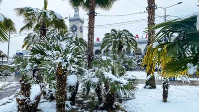 Аномальный снегопад в Сочи: последние новости на 18 марта 2022