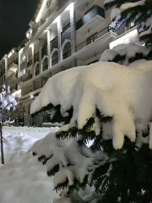 Отдых зимой в Сочи: где остановиться, чем заняться, куда сходить