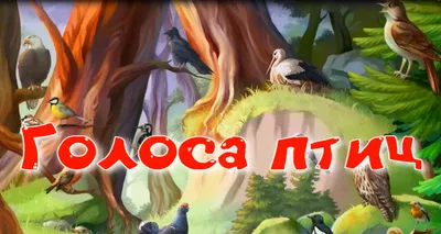 Голоса птиц. Звуки природы. Часть 2. | Все для детей. | Дзен