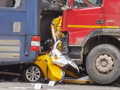 Бегущий жираф попал на видео в Москве - Мослента