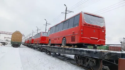 В мэрии Якутска новые назначения - МК Якутия