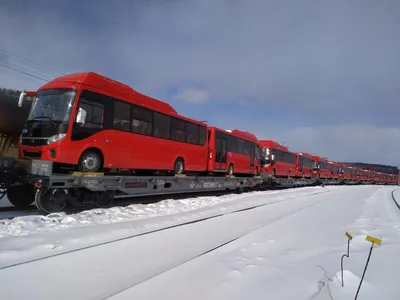 Свыше 30 новых автобусов для Якутска прибыли в республику - Информационный  портал Yk24/Як24